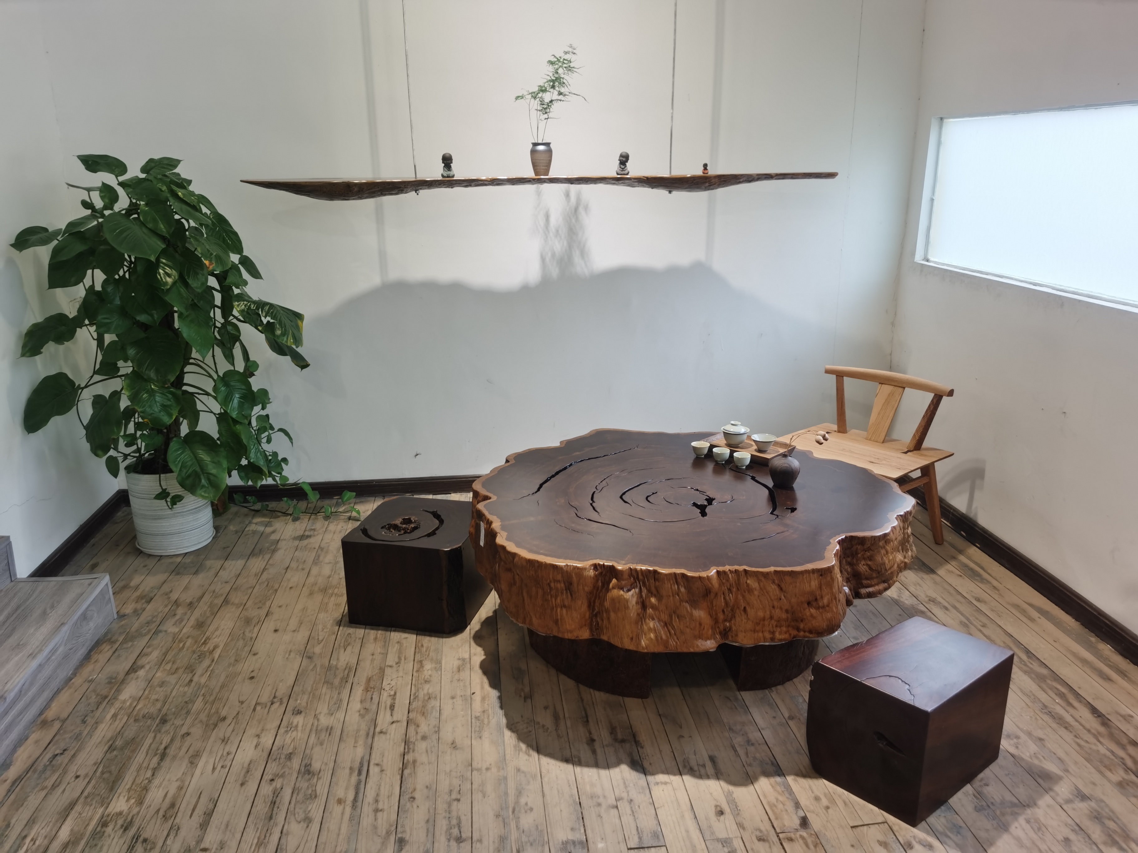 The Annual Ring Coffee Table: Where Time Takes Form