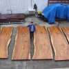 The Suar Wood Slab Table: Nature's Masterpiece in Your Home