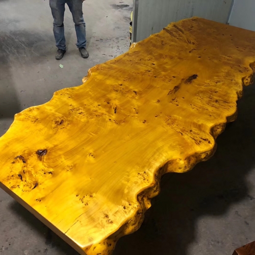 Germany poplar burl slab wood table top