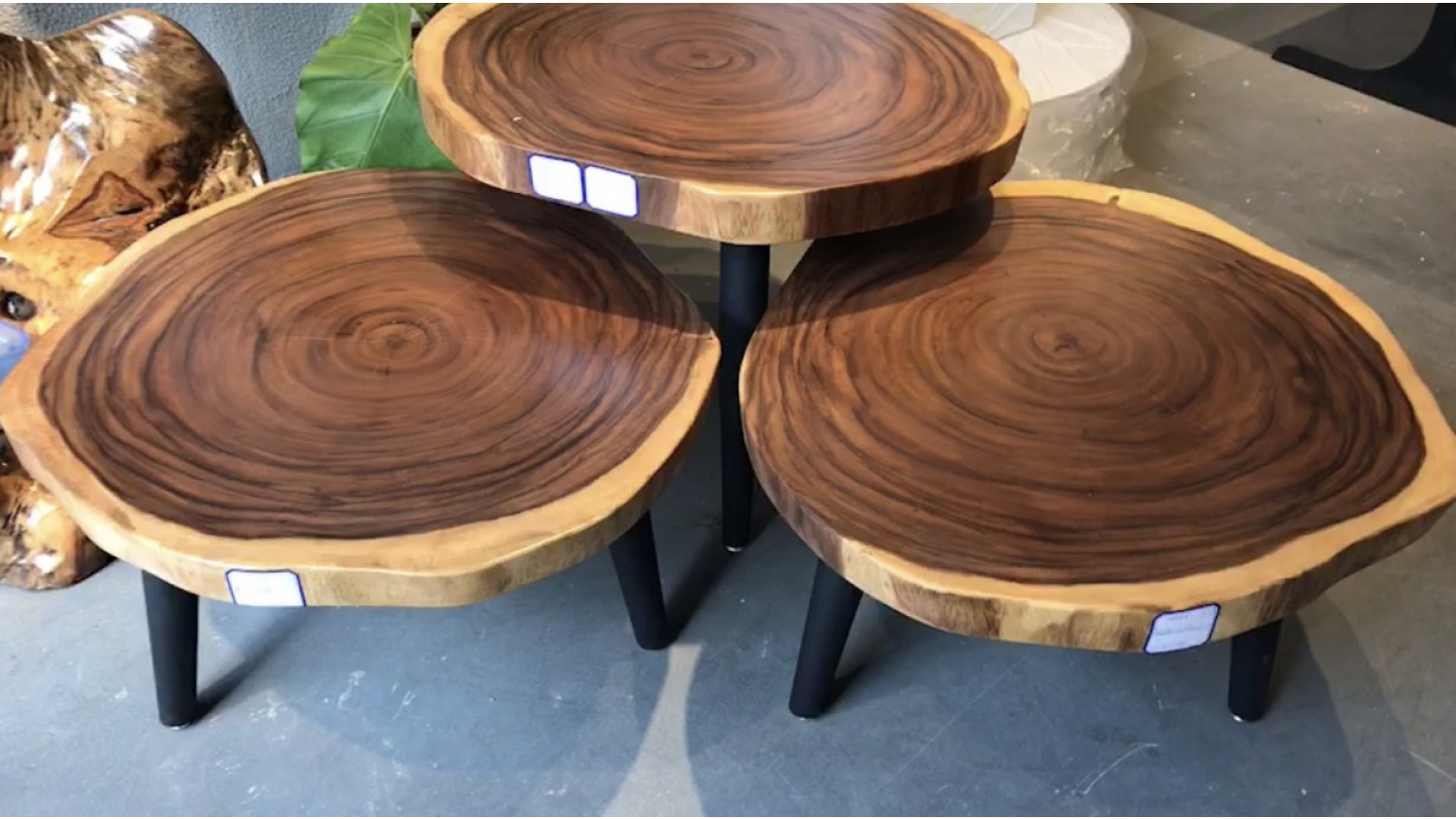 Annual ring round ecuador walnut slab coffee table for living room